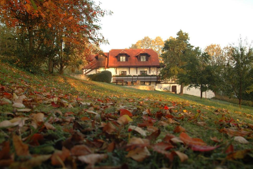 Penzion Dvůr Obora  Esterno foto